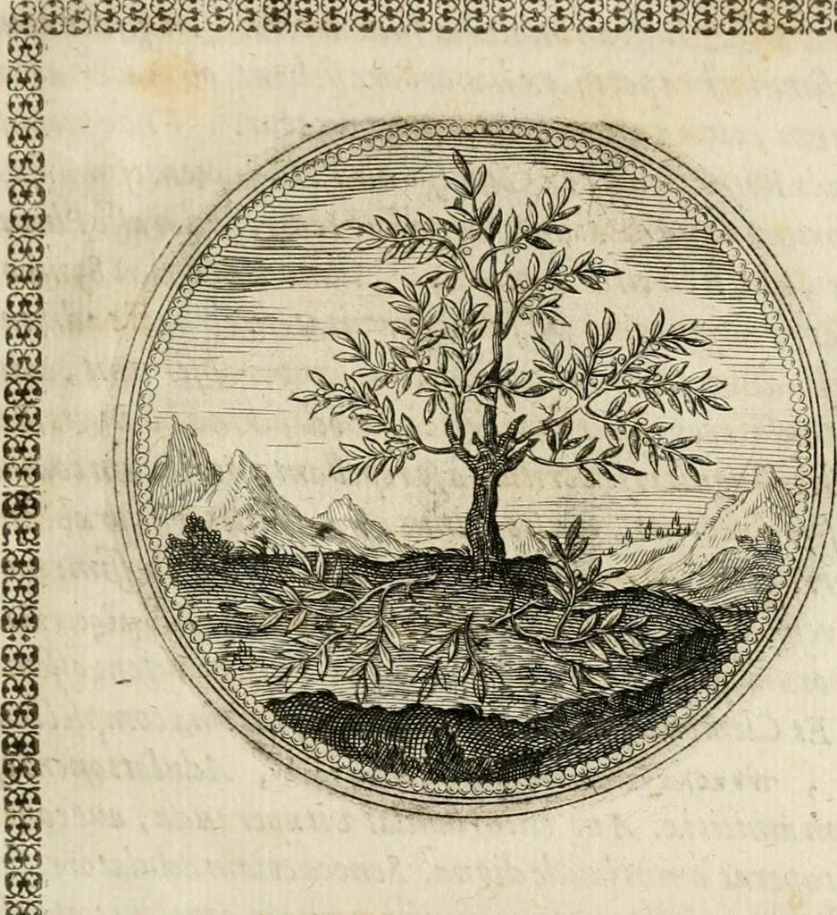 An illustration from Symboloru[m] & emblematum ex re herbaria desumtorum centuria vna[-quarta] collecta, 1654, leaf 18
