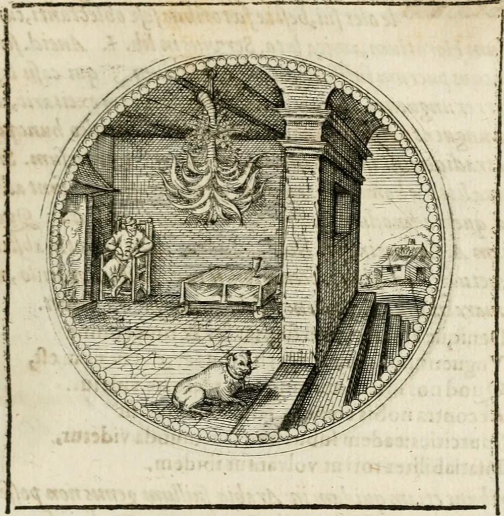 An illustration from Symboloru[m] & emblematum ex re herbaria desumtorum centuria vna[-quarta] collecta, 1654, leaf 190