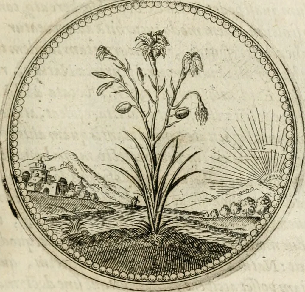 An illustration from Symboloru[m] & emblematum ex re herbaria desumtorum centuria vna[-quarta] collecta, 1654, leaf 198