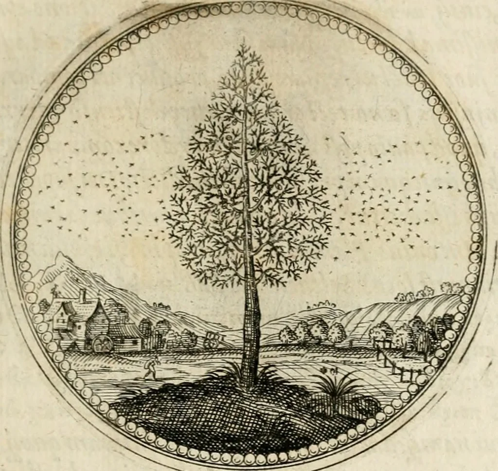 An illustration from Symboloru[m] & emblematum ex re herbaria desumtorum centuria vna[-quarta] collecta, 1654, leaf 20