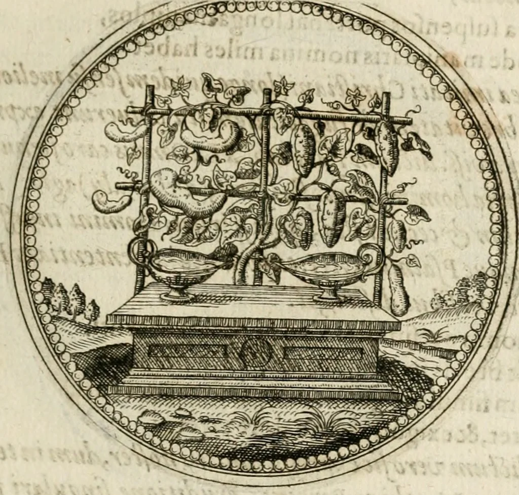 An illustration from Symboloru[m] & emblematum ex re herbaria desumtorum centuria vna[-quarta] collecta, 1654, leaf 200