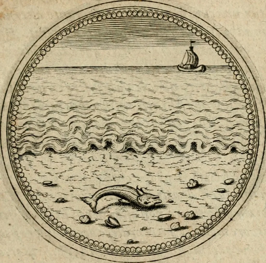 An illustration from Symboloru[m] & emblematum ex re herbaria desumtorum centuria vna[-quarta] collecta, 1654, leaf 234