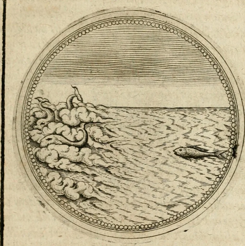 An illustration from Symboloru[m] & emblematum ex re herbaria desumtorum centuria vna[-quarta] collecta, 1654, leaf 238