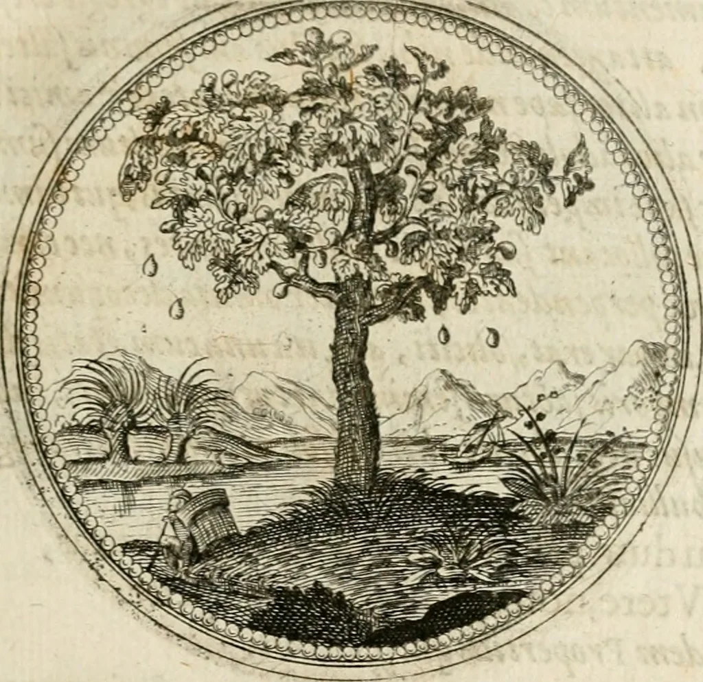 An illustration from Symboloru[m] & emblematum ex re herbaria desumtorum centuria vna[-quarta] collecta, 1654, leaf 24