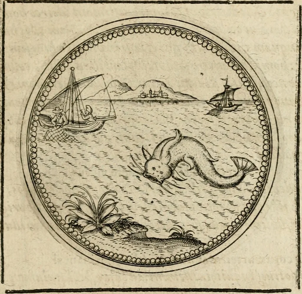 An illustration from Symboloru[m] & emblematum ex re herbaria desumtorum centuria vna[-quarta] collecta, 1654, leaf 244
