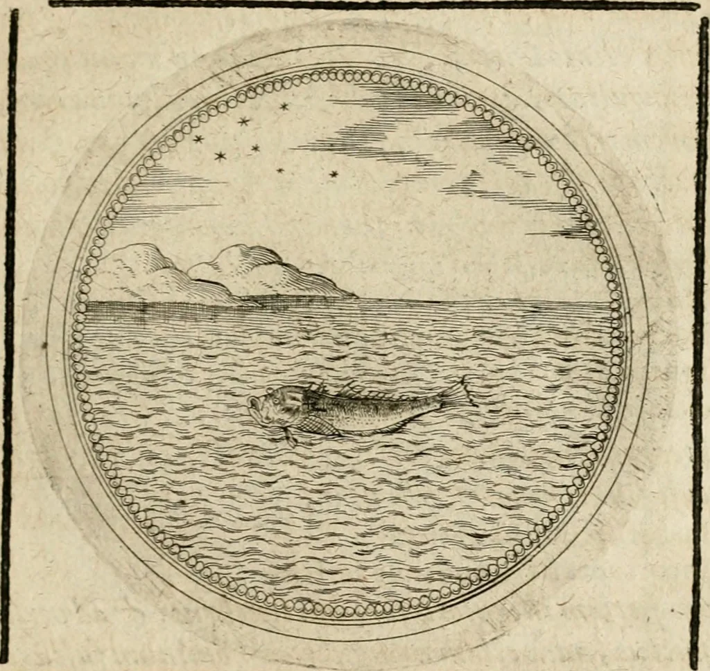 An illustration from Symboloru[m] & emblematum ex re herbaria desumtorum centuria vna[-quarta] collecta, 1654, leaf 246