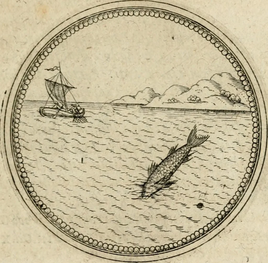 An illustration from Symboloru[m] & emblematum ex re herbaria desumtorum centuria vna[-quarta] collecta, 1654, leaf 250