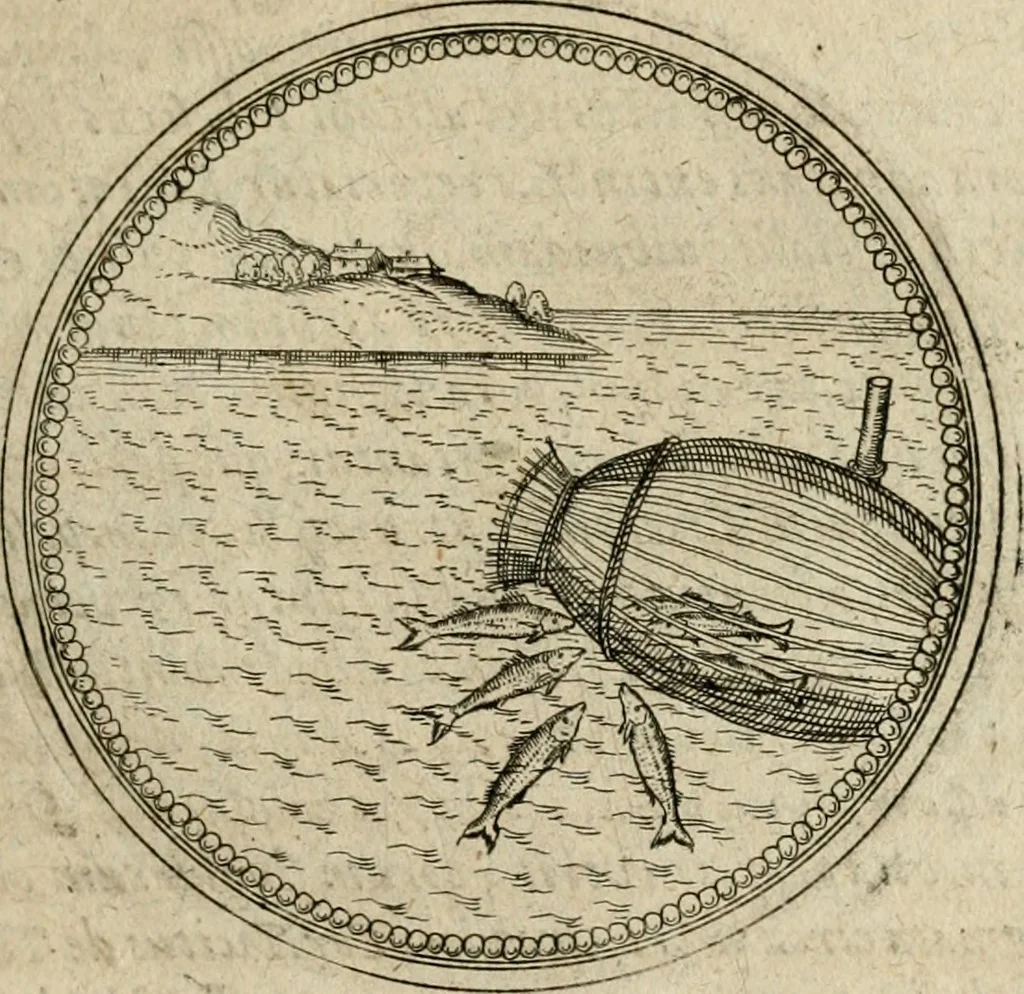 An illustration from Symboloru[m] & emblematum ex re herbaria desumtorum centuria vna[-quarta] collecta, 1654, leaf 254