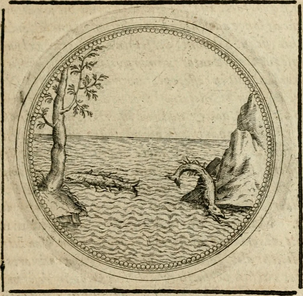 An illustration from Symboloru[m] & emblematum ex re herbaria desumtorum centuria vna[-quarta] collecta, 1654, leaf 256
