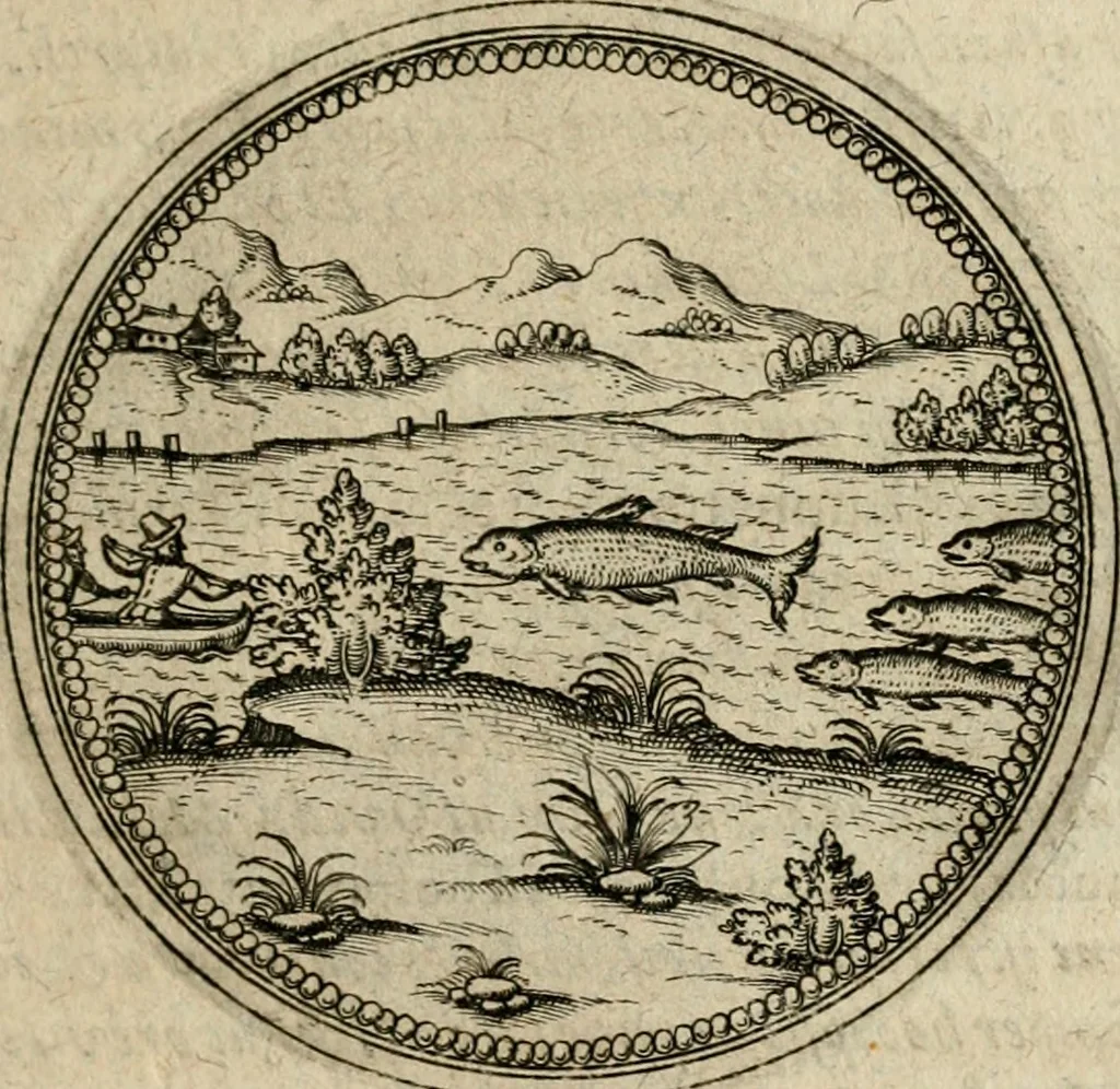An illustration from Symboloru[m] & emblematum ex re herbaria desumtorum centuria vna[-quarta] collecta, 1654, leaf 258