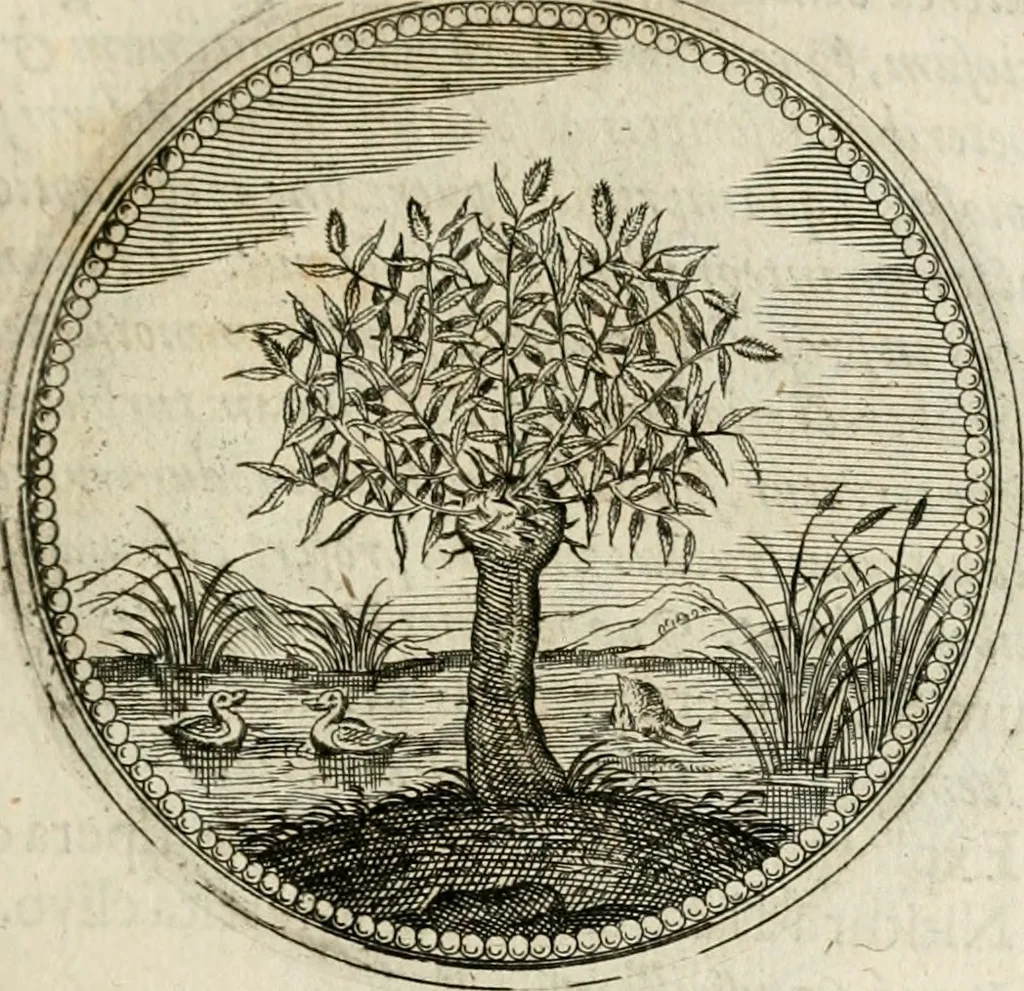 An illustration from Symboloru[m] & emblematum ex re herbaria desumtorum centuria vna[-quarta] collecta, 1654, leaf 26