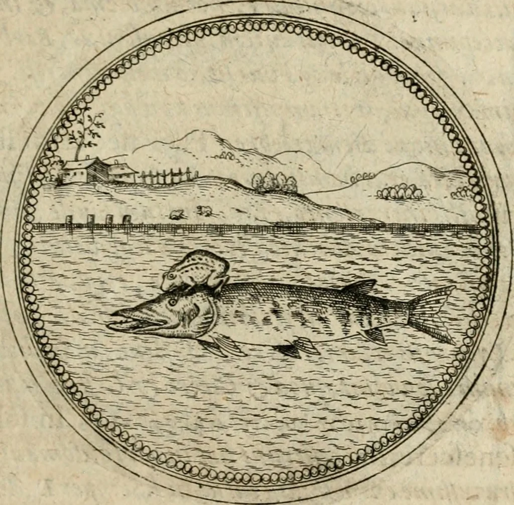 An illustration from Symboloru[m] & emblematum ex re herbaria desumtorum centuria vna[-quarta] collecta, 1654, leaf 262