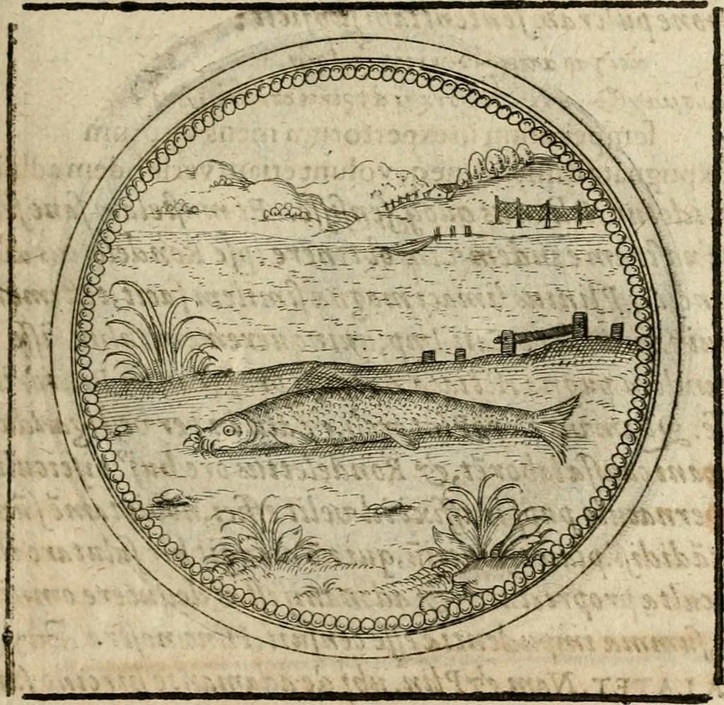 An illustration from Symboloru[m] & emblematum ex re herbaria desumtorum centuria vna[-quarta] collecta, 1654, leaf 264