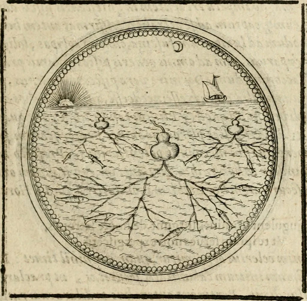 An illustration from Symboloru[m] & emblematum ex re herbaria desumtorum centuria vna[-quarta] collecta, 1654, leaf 272