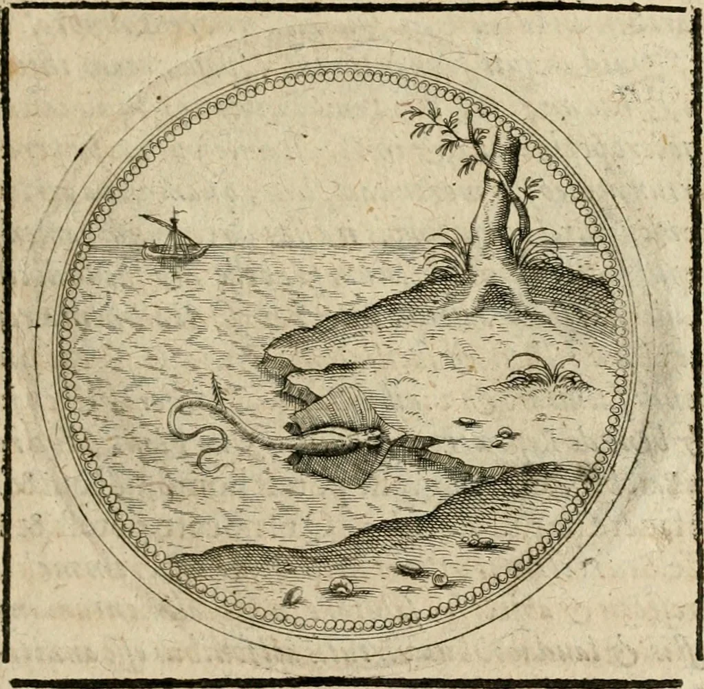 An illustration from Symboloru[m] & emblematum ex re herbaria desumtorum centuria vna[-quarta] collecta, 1654, leaf 294