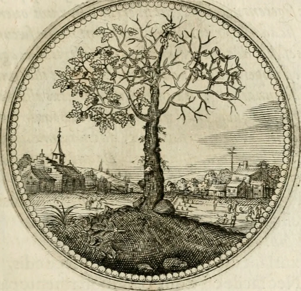 An illustration from Symboloru[m] & emblematum ex re herbaria desumtorum centuria vna[-quarta] collecta, 1654, leaf 30
