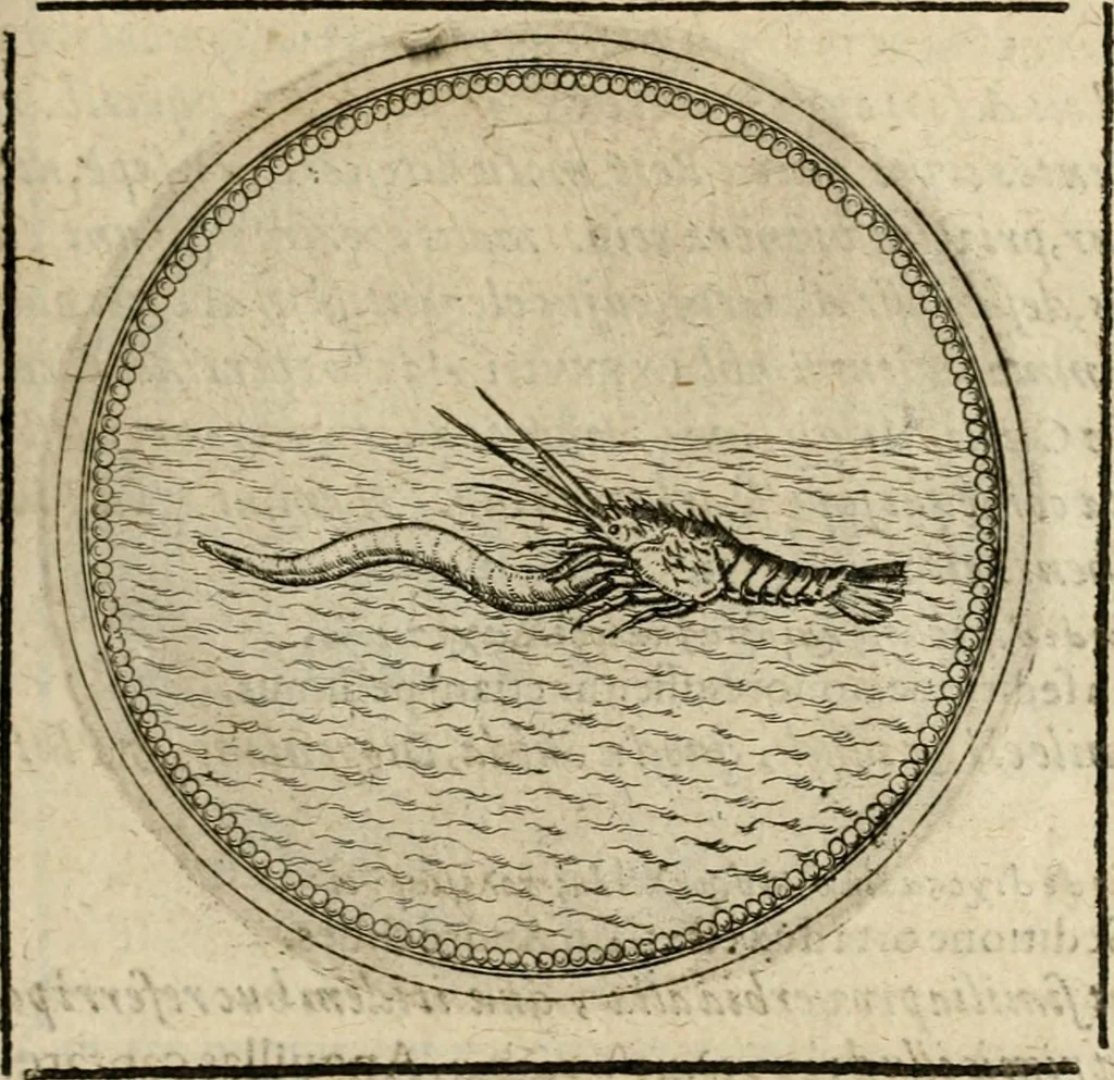 An illustration from Symboloru[m] & emblematum ex re herbaria desumtorum centuria vna[-quarta] collecta, 1654, leaf 300