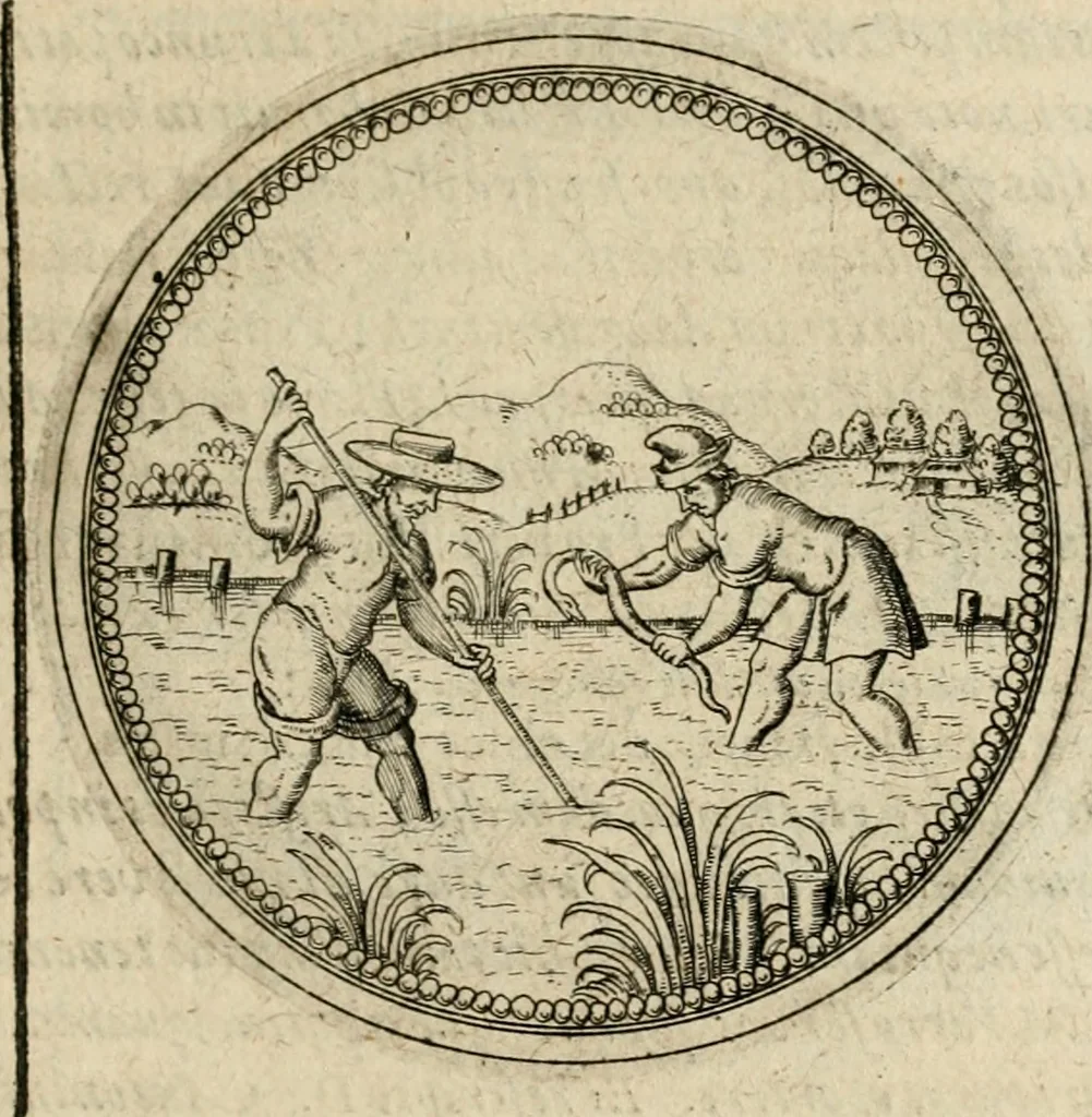 An illustration from Symboloru[m] & emblematum ex re herbaria desumtorum centuria vna[-quarta] collecta, 1654, leaf 302