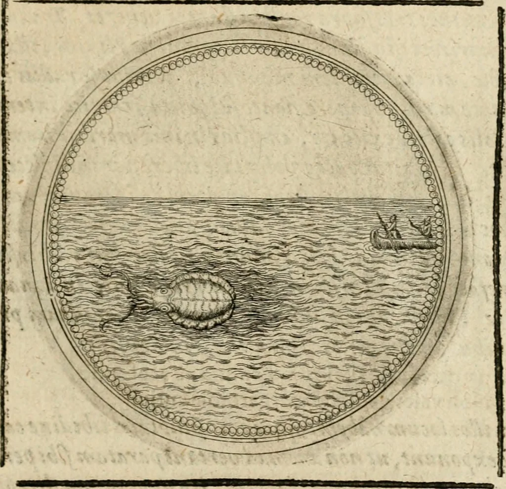 An illustration from Symboloru[m] & emblematum ex re herbaria desumtorum centuria vna[-quarta] collecta, 1654, leaf 306