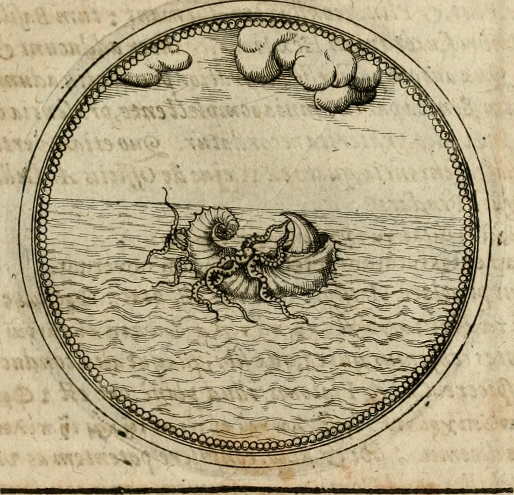 An illustration from Symboloru[m] & emblematum ex re herbaria desumtorum centuria vna[-quarta] collecta, 1654, leaf 310