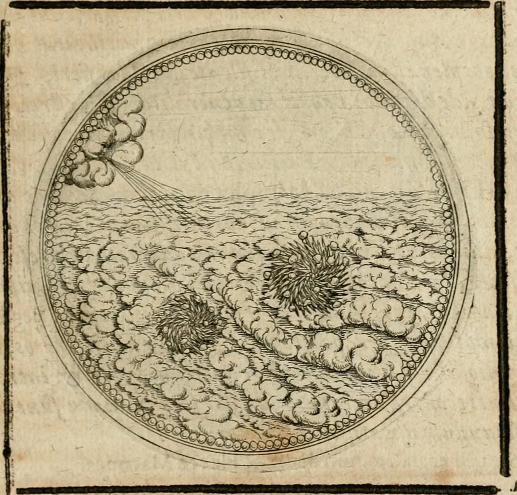 An illustration from Symboloru[m] & emblematum ex re herbaria desumtorum centuria vna[-quarta] collecta, 1654, leaf 312