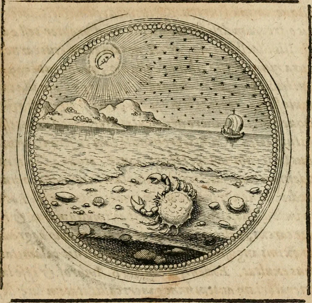 An illustration from Symboloru[m] & emblematum ex re herbaria desumtorum centuria vna[-quarta] collecta, 1654, leaf 314