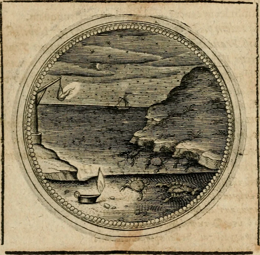An illustration from Symboloru[m] & emblematum ex re herbaria desumtorum centuria vna[-quarta] collecta, 1654, leaf 318