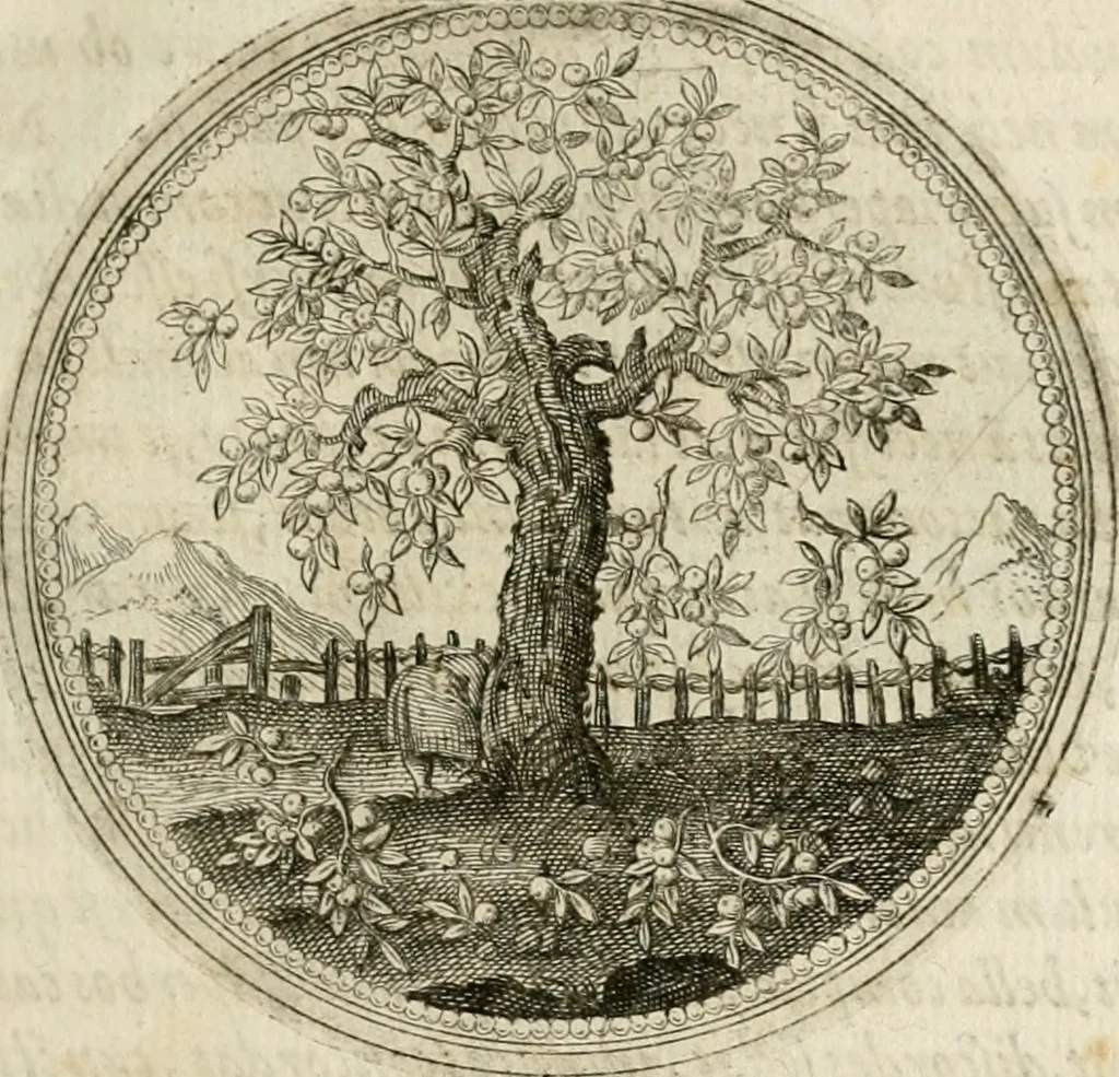 An illustration from Symboloru[m] & emblematum ex re herbaria desumtorum centuria vna[-quarta] collecta, 1654, leaf 32