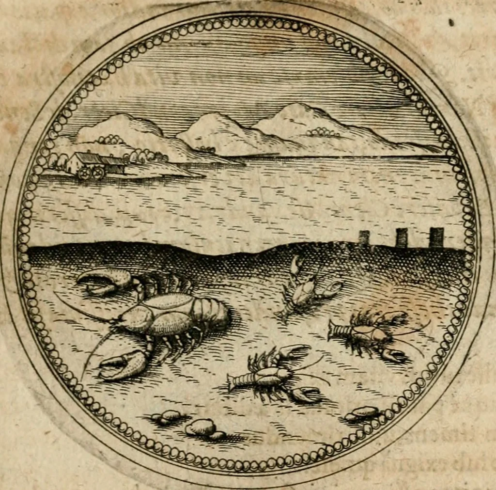An illustration from Symboloru[m] & emblematum ex re herbaria desumtorum centuria vna[-quarta] collecta, 1654, leaf 322