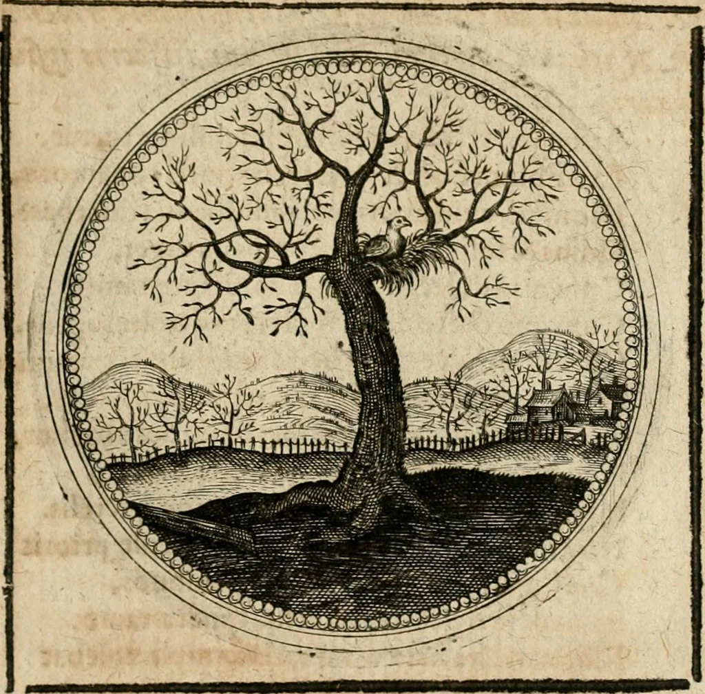 An illustration from Symboloru[m] & emblematum ex re herbaria desumtorum centuria vna[-quarta] collecta, 1654, leaf 338