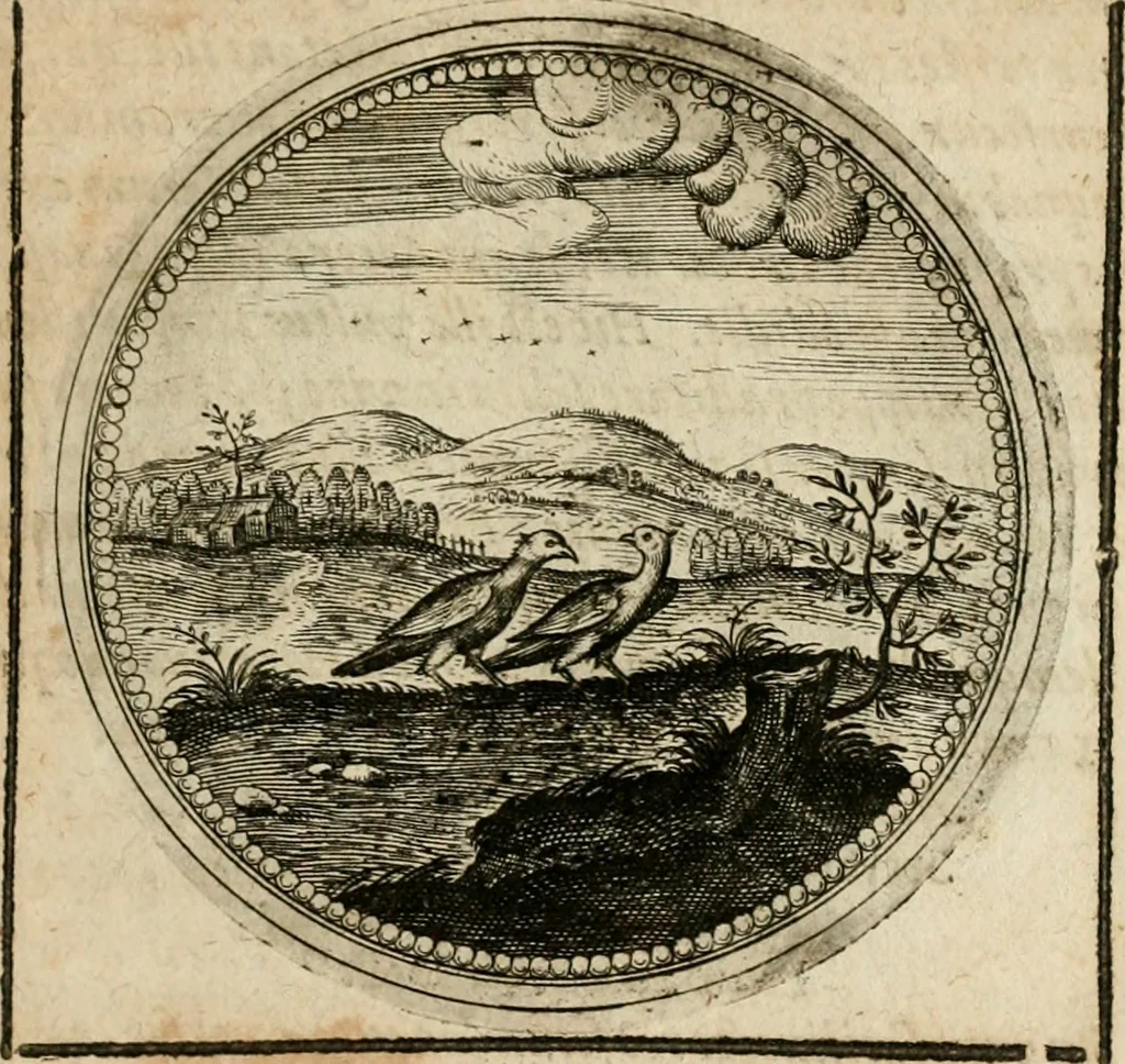An illustration from Symboloru[m] & emblematum ex re herbaria desumtorum centuria vna[-quarta] collecta, 1654, leaf 340