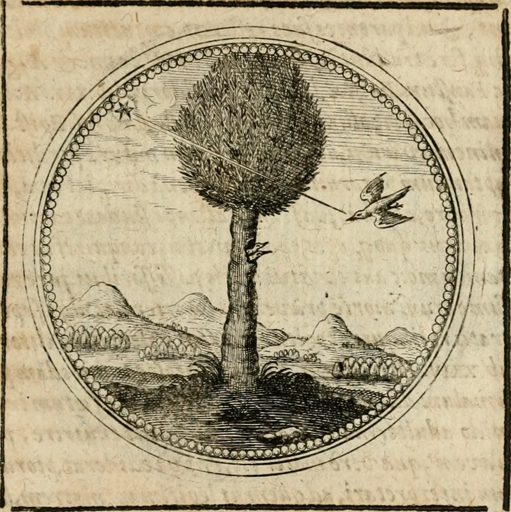 An illustration from Symboloru[m] & emblematum ex re herbaria desumtorum centuria vna[-quarta] collecta, 1654, leaf 348