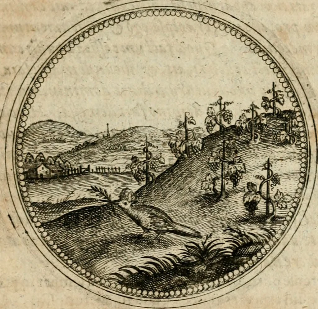 An illustration from Symboloru[m] & emblematum ex re herbaria desumtorum centuria vna[-quarta] collecta, 1654, leaf 358