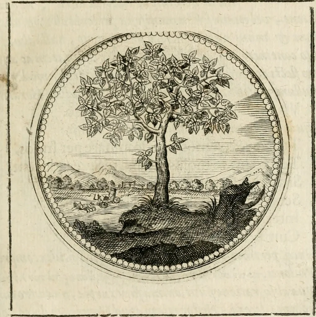 An illustration from Symboloru[m] & emblematum ex re herbaria desumtorum centuria vna[-quarta] collecta, 1654, leaf 36