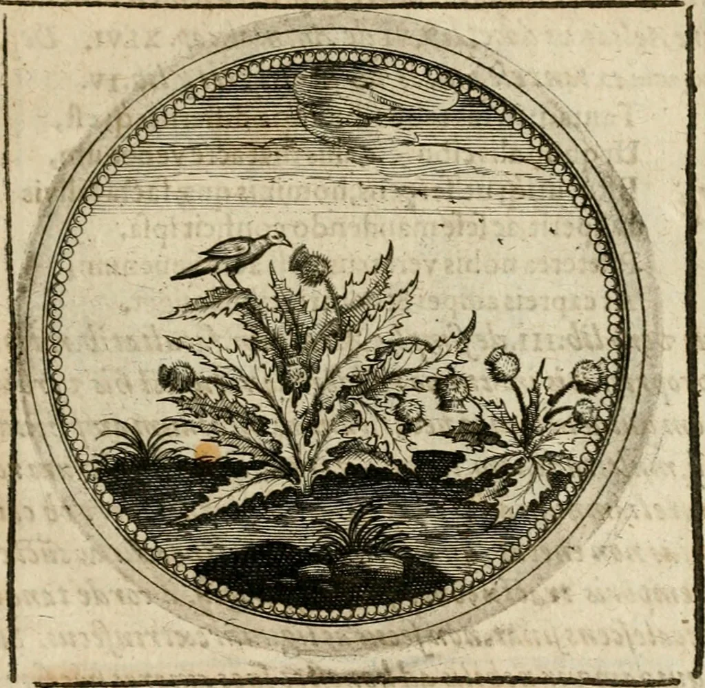 An illustration from Symboloru[m] & emblematum ex re herbaria desumtorum centuria vna[-quarta] collecta, 1654, leaf 364
