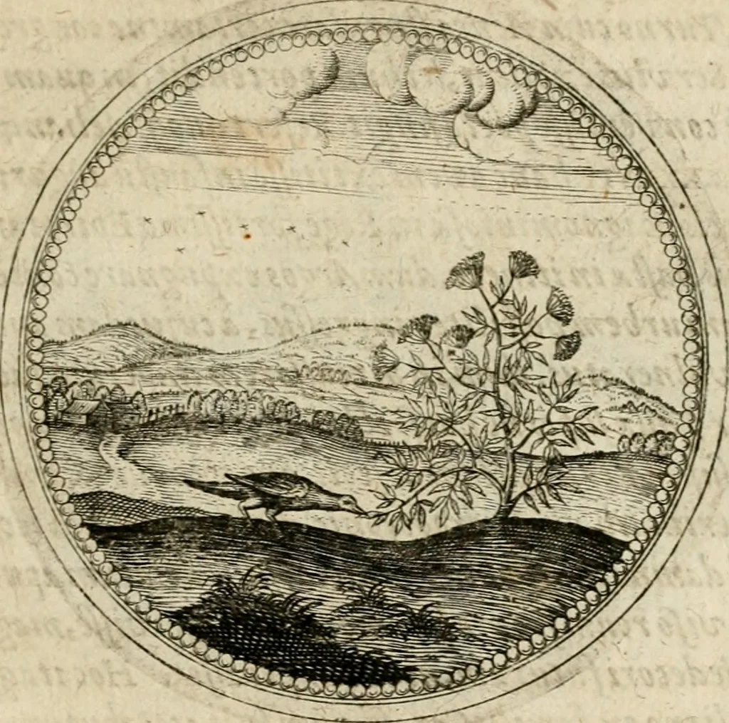 An illustration from Symboloru[m] & emblematum ex re herbaria desumtorum centuria vna[-quarta] collecta, 1654, leaf 366