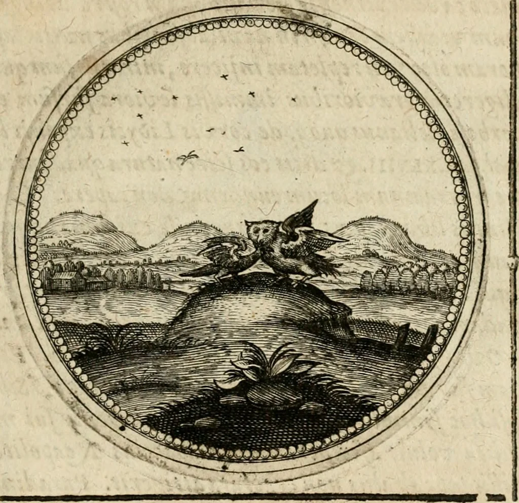 An illustration from Symboloru[m] & emblematum ex re herbaria desumtorum centuria vna[-quarta] collecta, 1654, leaf 370
