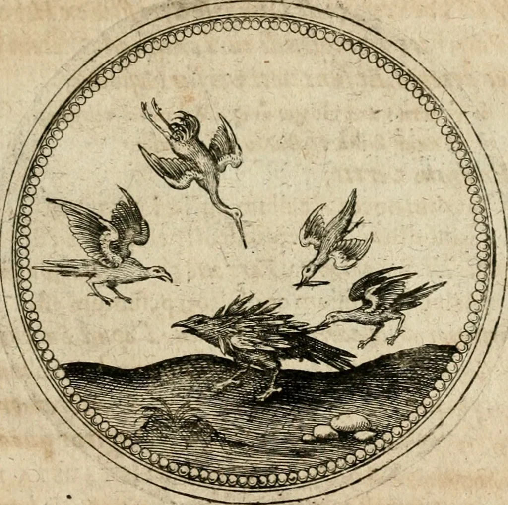 An illustration from Symboloru[m] & emblematum ex re herbaria desumtorum centuria vna[-quarta] collecta, 1654, leaf 376