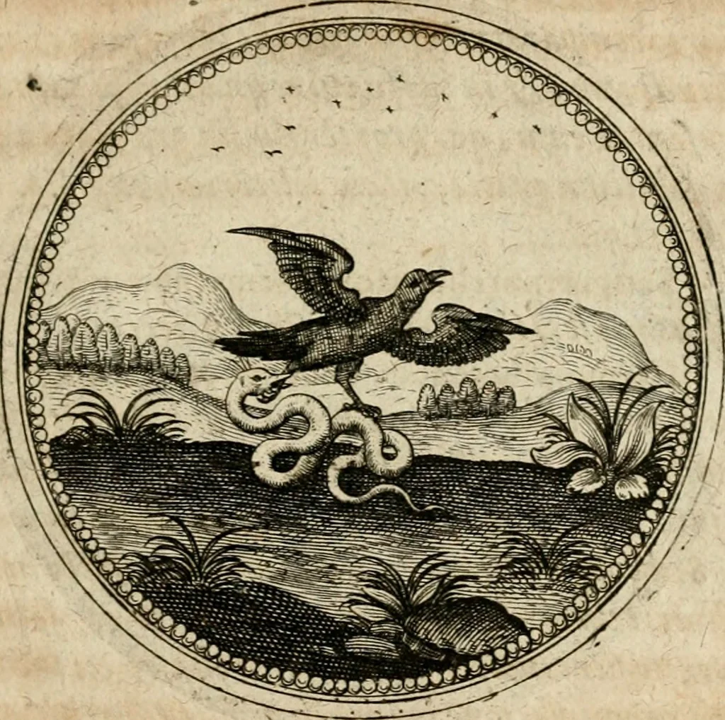 An illustration from Symboloru[m] & emblematum ex re herbaria desumtorum centuria vna[-quarta] collecta, 1654, leaf 378