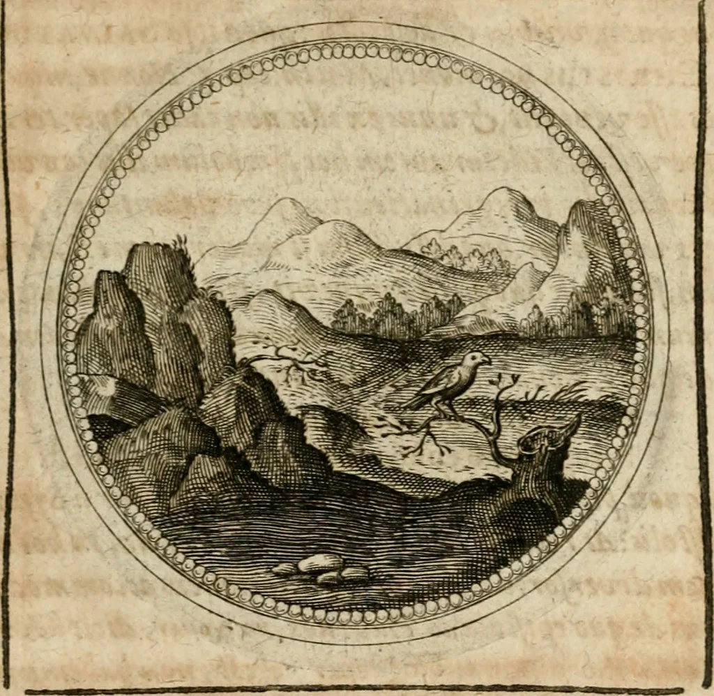 An illustration from Symboloru[m] & emblematum ex re herbaria desumtorum centuria vna[-quarta] collecta, 1654, leaf 380