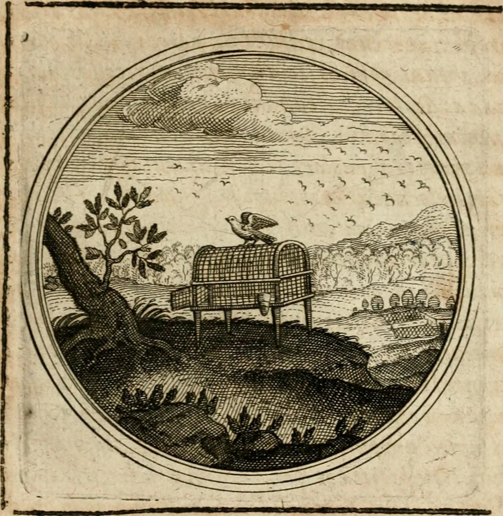 An illustration from Symboloru[m] & emblematum ex re herbaria desumtorum centuria vna[-quarta] collecta, 1654, leaf 386