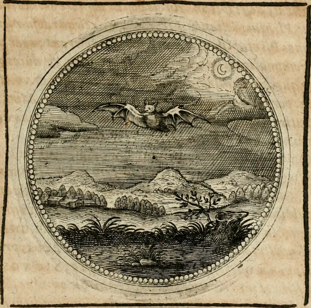 An illustration from Symboloru[m] & emblematum ex re herbaria desumtorum centuria vna[-quarta] collecta, 1654, leaf 392