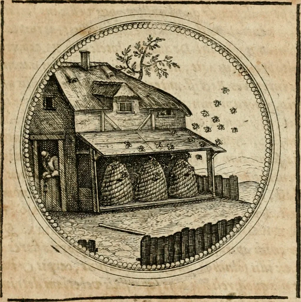An illustration from Symboloru[m] & emblematum ex re herbaria desumtorum centuria vna[-quarta] collecta, 1654, leaf 394