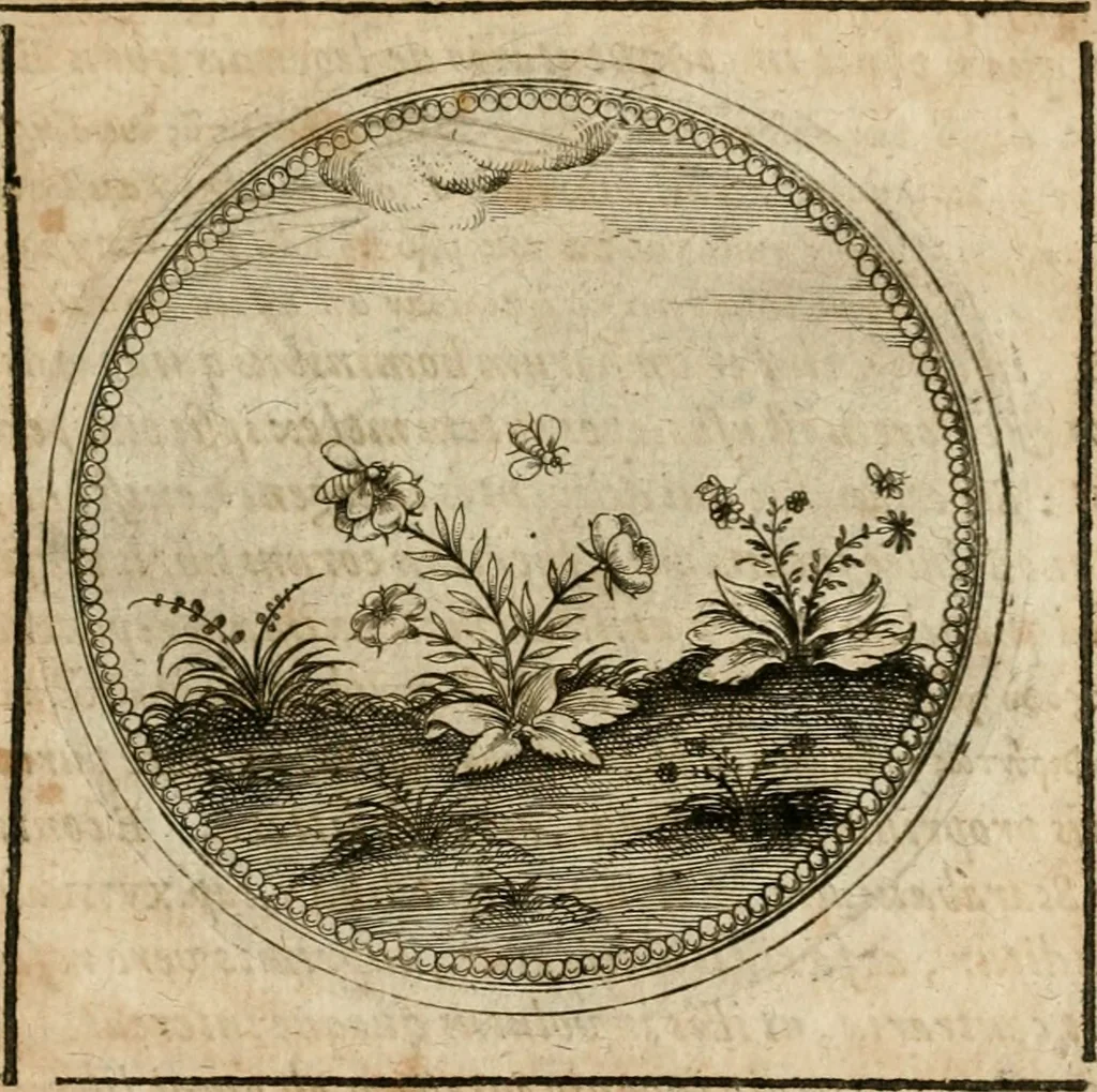 An illustration from Symboloru[m] & emblematum ex re herbaria desumtorum centuria vna[-quarta] collecta, 1654, leaf 396