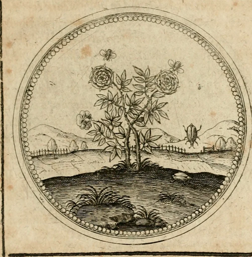 An illustration from Symboloru[m] & emblematum ex re herbaria desumtorum centuria vna[-quarta] collecta, 1654, leaf 398