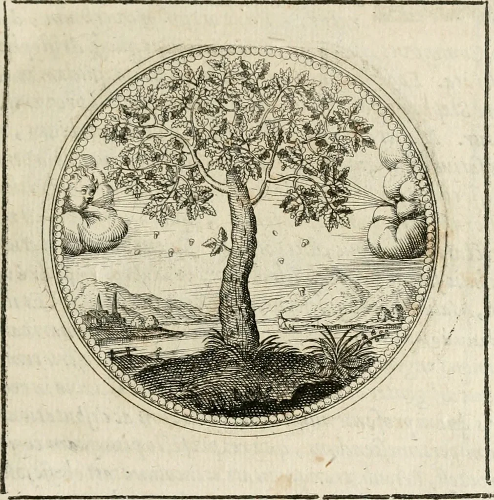 An illustration from Symboloru[m] & emblematum ex re herbaria desumtorum centuria vna[-quarta] collecta, 1654, leaf 40