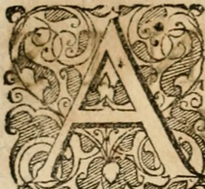 An illustration from Symboloru[m] & emblematum ex re herbaria desumtorum centuria vna[-quarta] collecta, 1654, leaf 403