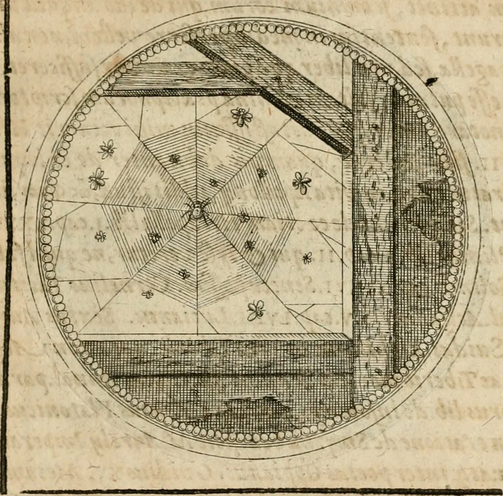 An illustration from Symboloru[m] & emblematum ex re herbaria desumtorum centuria vna[-quarta] collecta, 1654, leaf 412