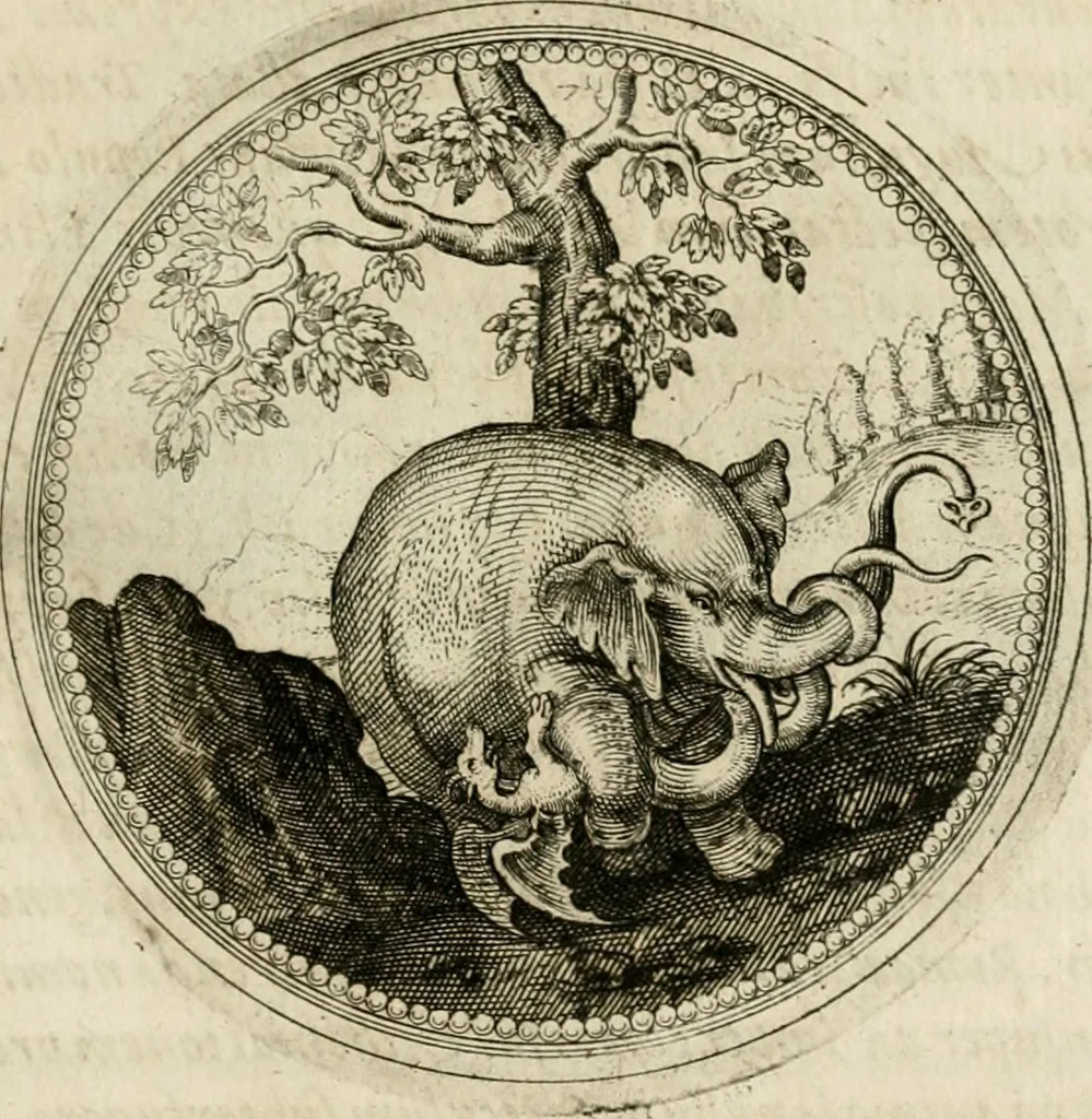 An illustration from Symboloru[m] & emblematum ex re herbaria desumtorum centuria vna[-quarta] collecta, 1654, leaf 428