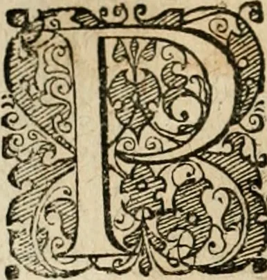 An illustration from Symboloru[m] & emblematum ex re herbaria desumtorum centuria vna[-quarta] collecta, 1654, leaf 447
